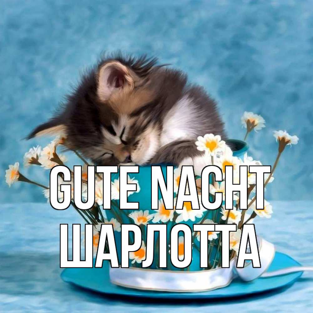 Открытка на каждый день с именем, Шарлотта Gute Nacht котенок спит в кружке с блюдцем Прикольная открытка с пожеланием онлайн скачать бесплатно 
