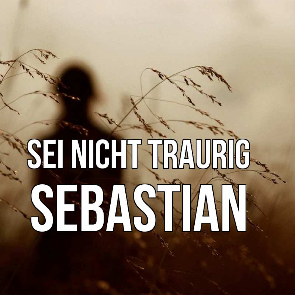 Открытка на каждый день с именем, Sebastian Sei nicht traurig грусть Прикольная открытка с пожеланием онлайн скачать бесплатно 