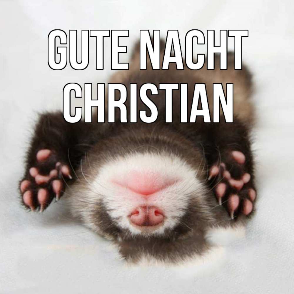 Открытка на каждый день с именем, Christian Gute Nacht зверек Прикольная открытка с пожеланием онлайн скачать бесплатно 