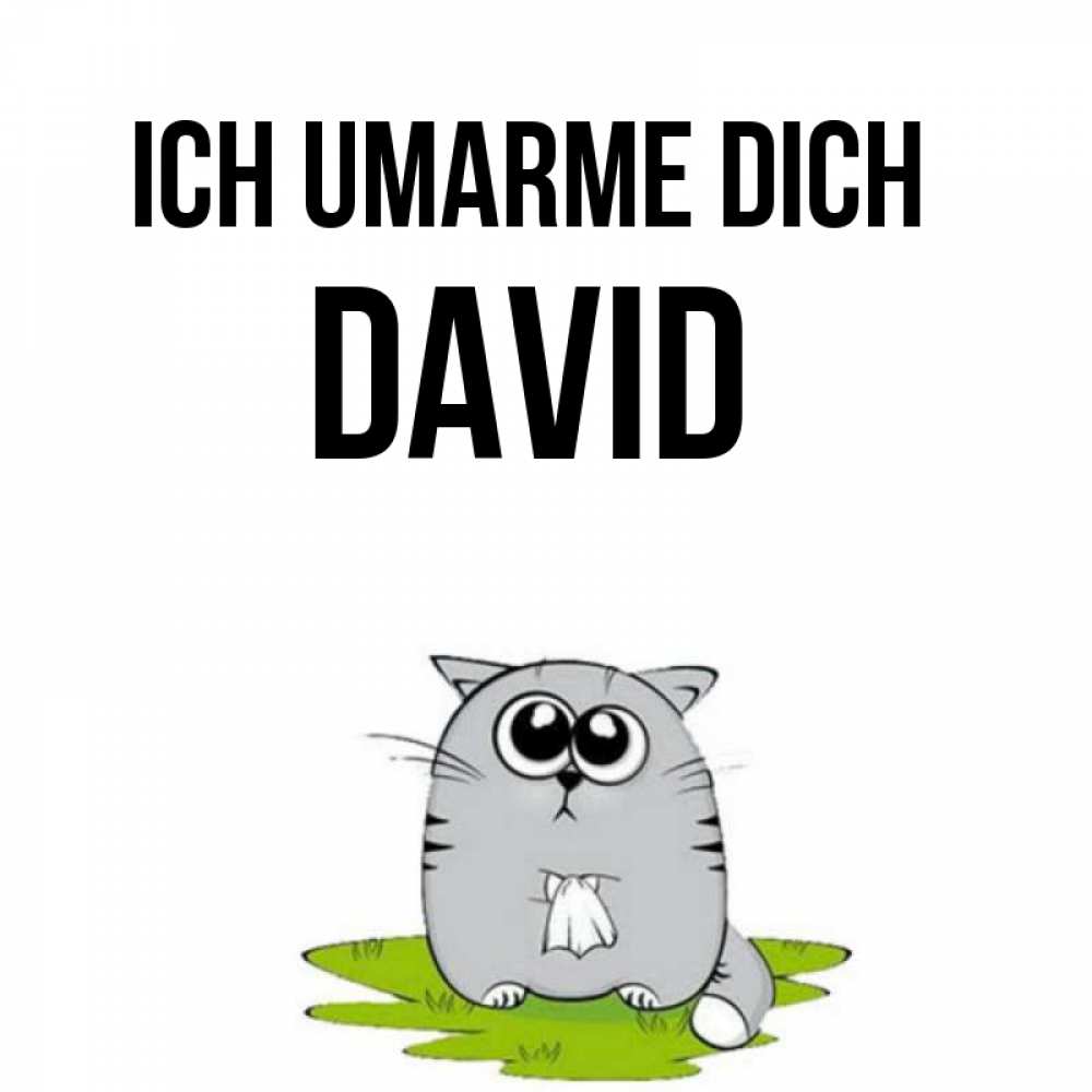 Открытка на каждый день с именем, David Ich umarme dich котик теребит платочек сидя на травке Прикольная открытка с пожеланием онлайн скачать бесплатно 
