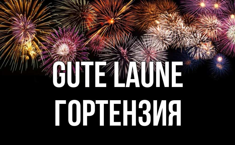 Открытка на каждый день с именем, Гортензия Gute Laune Фейрверг 1 Прикольная открытка с пожеланием онлайн скачать бесплатно 