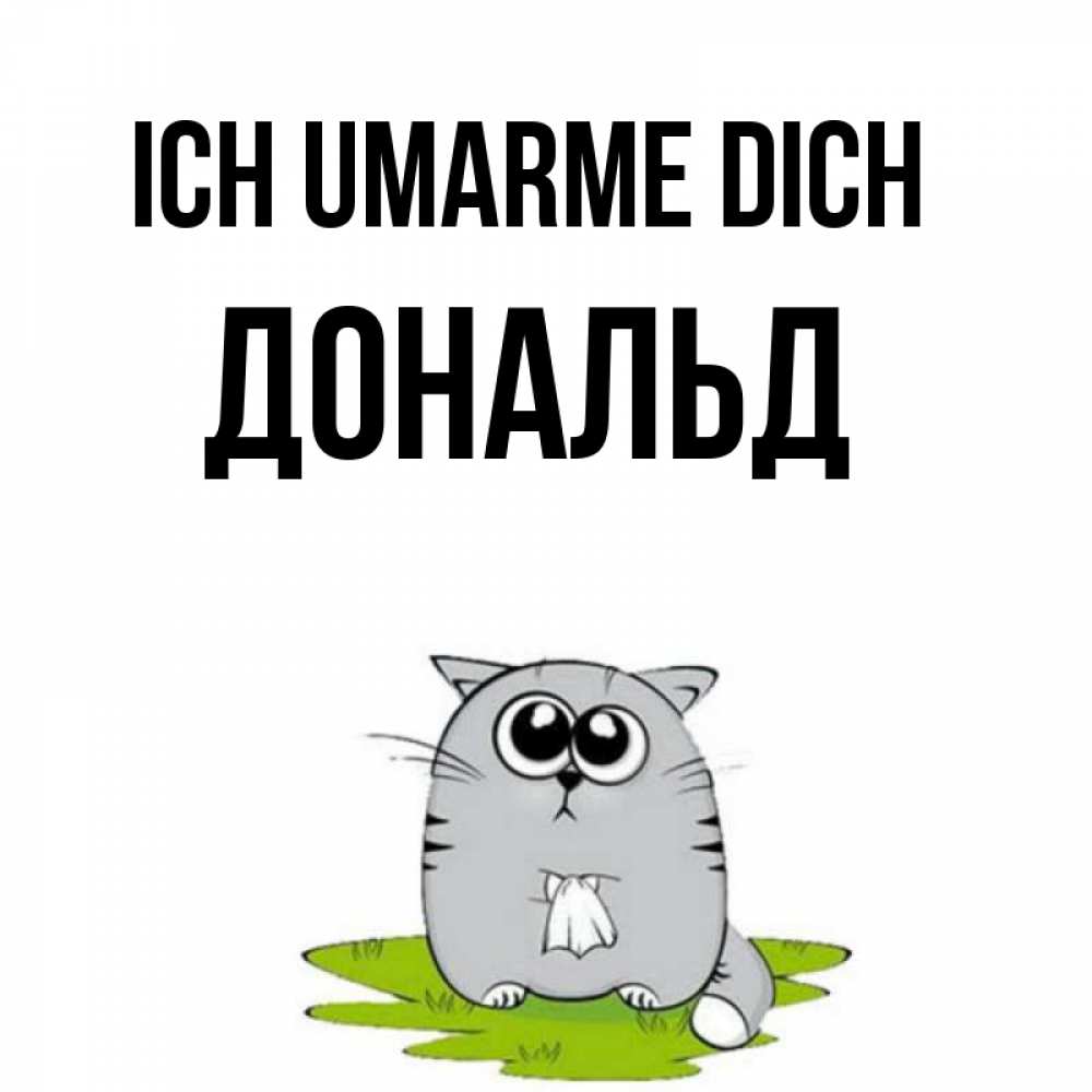 Открытка на каждый день с именем, Дональд Ich umarme dich котик теребит платочек сидя на травке Прикольная открытка с пожеланием онлайн скачать бесплатно 