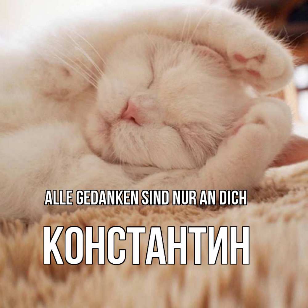 Открытка на каждый день с именем, Константин Alle Gedanken sind nur an dich для любимой девушки милота Прикольная открытка с пожеланием онлайн скачать бесплатно 