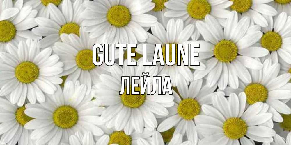 Открытка на каждый день с именем, Лейла Gute Laune поляна ромашек Прикольная открытка с пожеланием онлайн скачать бесплатно 