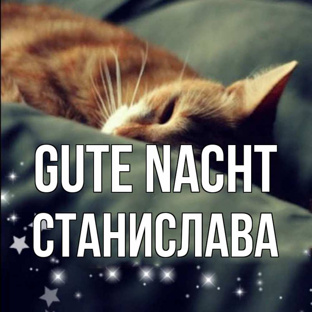Открытка на каждый день с именем, Станислава Gute Nacht кроватка Прикольная открытка с пожеланием онлайн скачать бесплатно 
