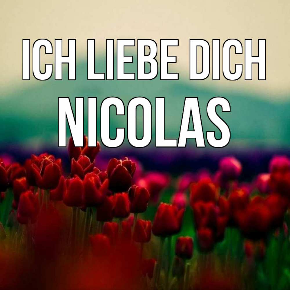 Открытка на каждый день с именем, Nicolas Ich liebe dich тюльпаны 4 Прикольная открытка с пожеланием онлайн скачать бесплатно 