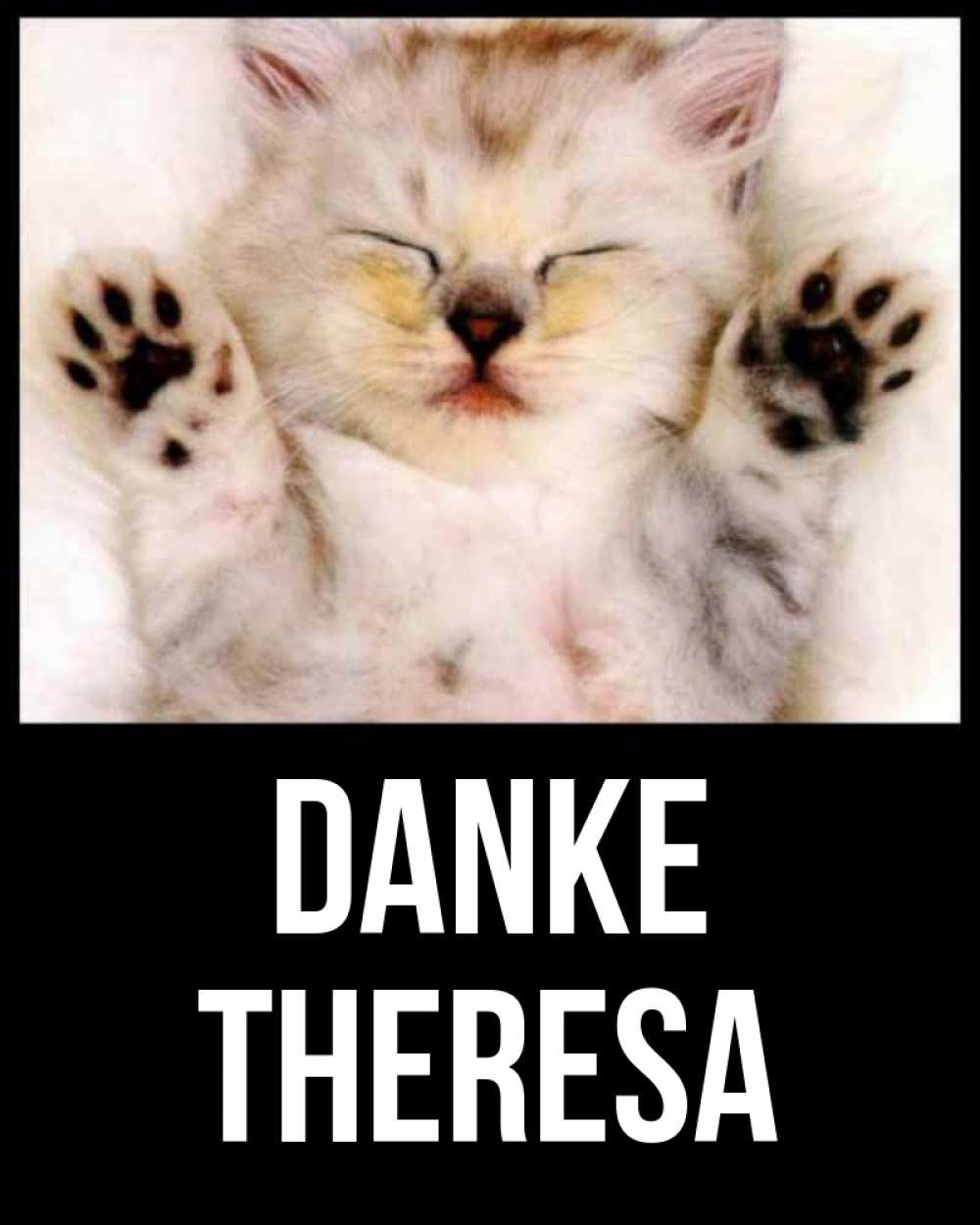 Открытка на каждый день с именем, Theresa Danke маленький котенок Прикольная открытка с пожеланием онлайн скачать бесплатно 