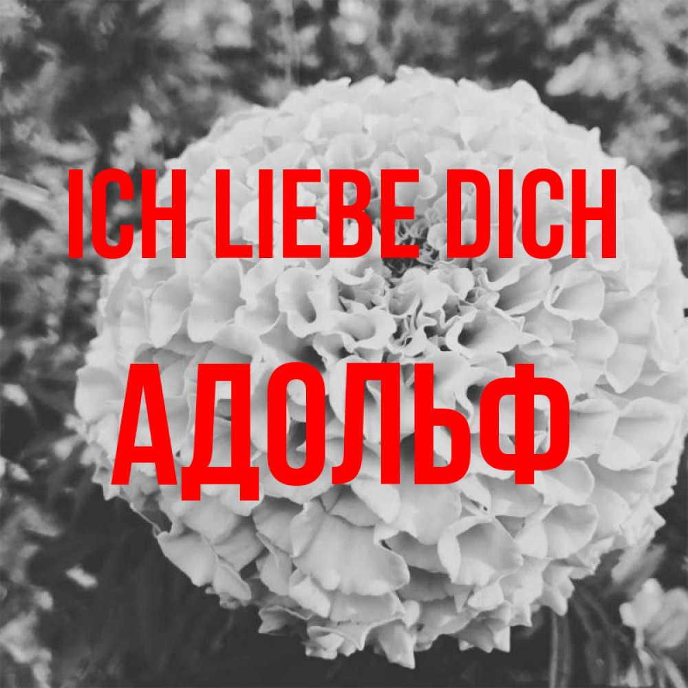 Открытка на каждый день с именем, Адольф Ich liebe dich подпись Прикольная открытка с пожеланием онлайн скачать бесплатно 