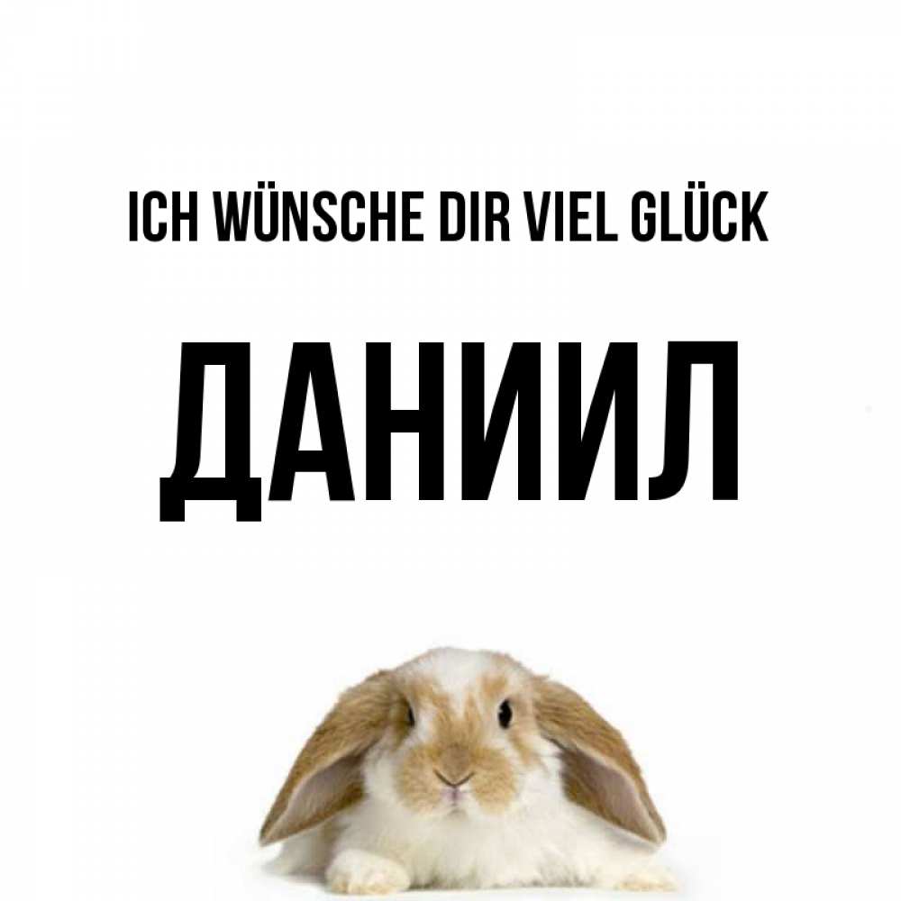 Открытка на каждый день с именем, Даниил Ich wünsche dir viel Glück открытки с произвольным текстом который можно вставить в открытку и создать ее самостоятельно бесплатно онлайн Прикольная открытка с пожеланием онлайн скачать бесплатно 