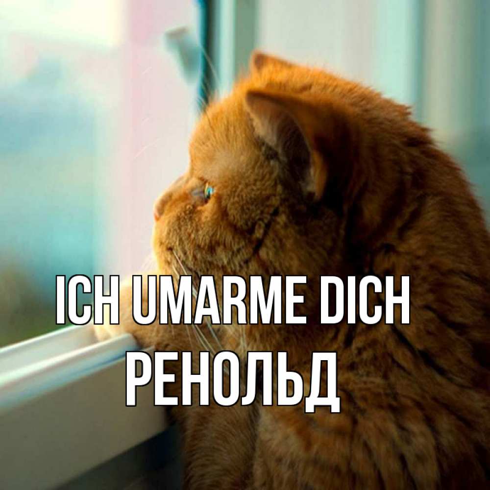 Открытка на каждый день с именем, Ренольд Ich umarme dich большой огромный рыжий котяра Прикольная открытка с пожеланием онлайн скачать бесплатно 