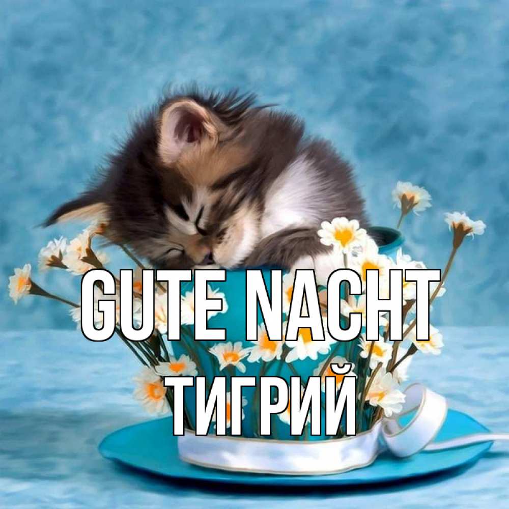 Открытка на каждый день с именем, Тигрий Gute Nacht котенок спит в кружке с блюдцем Прикольная открытка с пожеланием онлайн скачать бесплатно 