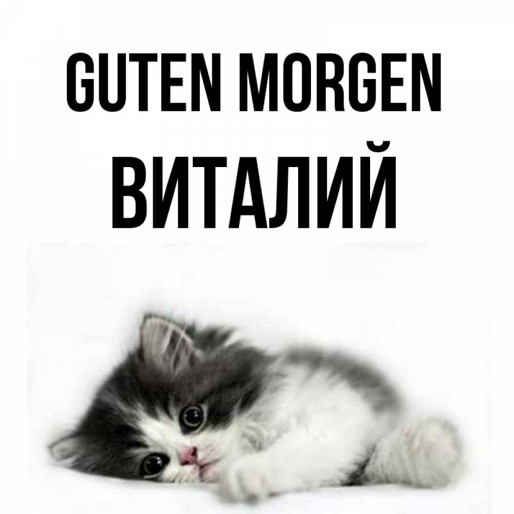 Открытка на каждый день с именем, Виталий Guten Morgen кот лапки Прикольная открытка с пожеланием онлайн скачать бесплатно 