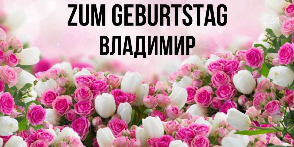 Открытка на каждый день с именем, Владимир Zum Geburtstag открытка с разными розами Прикольная открытка с пожеланием онлайн скачать бесплатно 