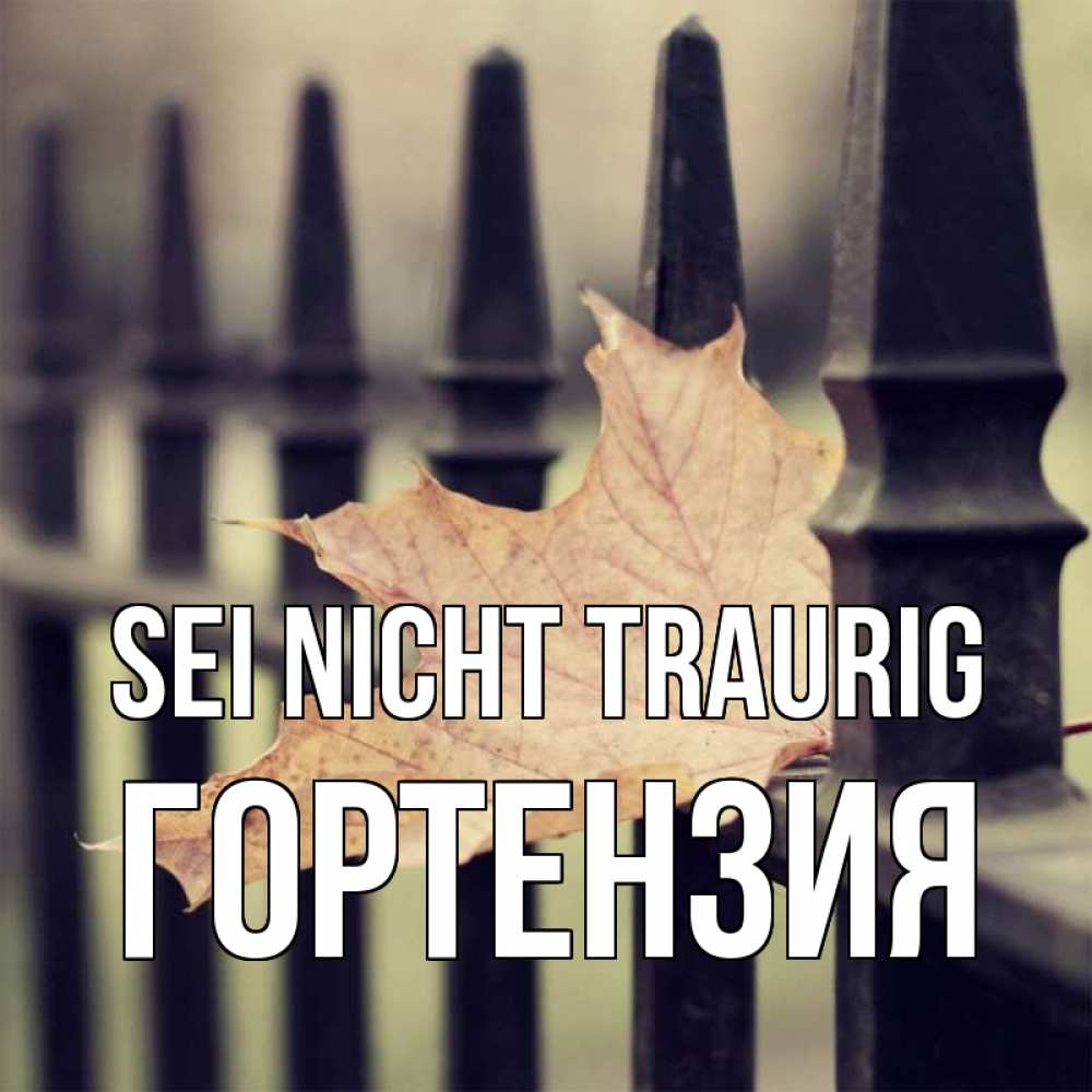 Открытка на каждый день с именем, Гортензия Sei nicht traurig лист клена Прикольная открытка с пожеланием онлайн скачать бесплатно 