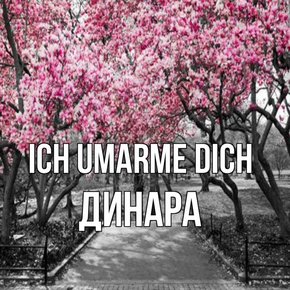 Открытка на каждый день с именем, Динара Ich umarme dich обработанное фото Прикольная открытка с пожеланием онлайн скачать бесплатно 
