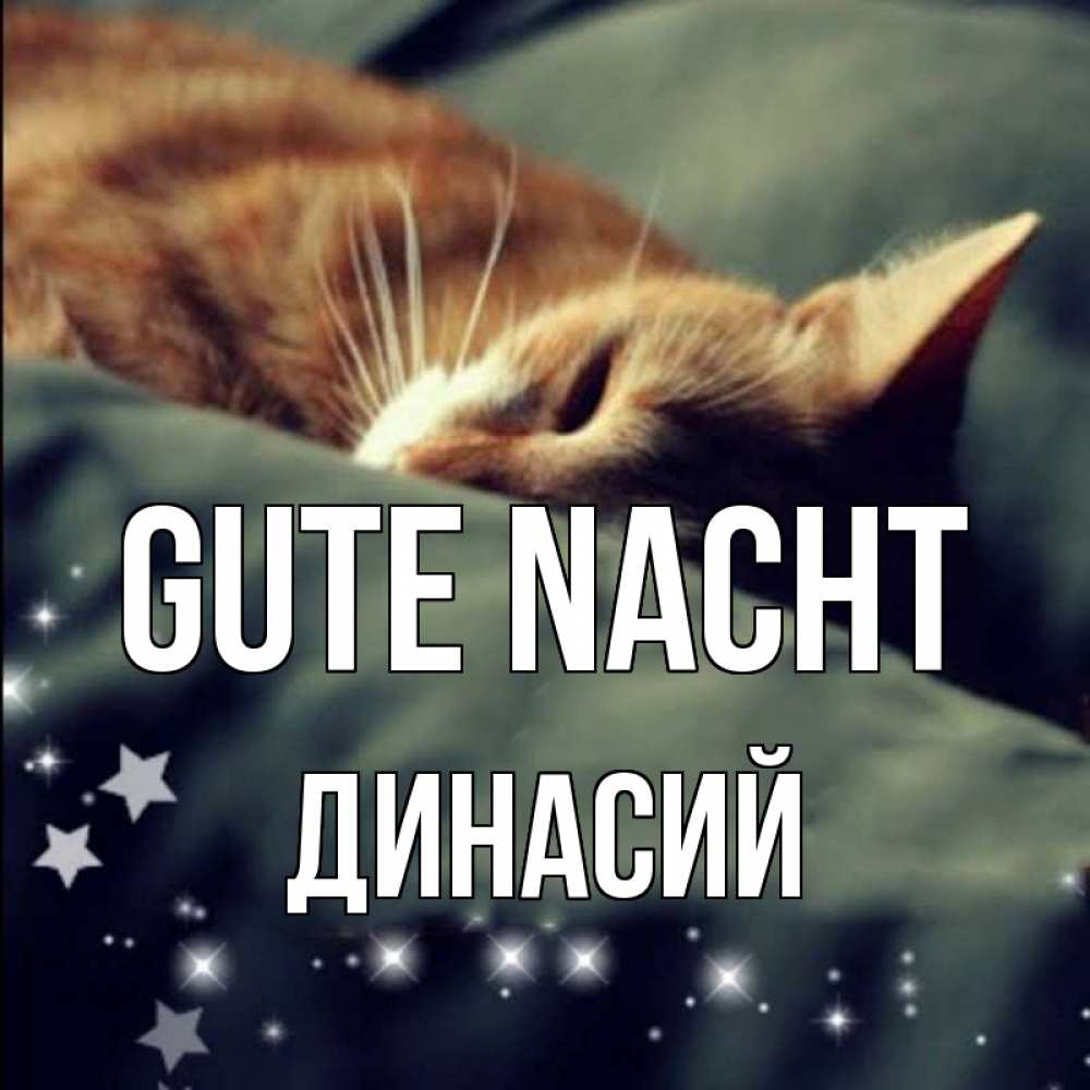 Открытка на каждый день с именем, Динасий Gute Nacht кроватка Прикольная открытка с пожеланием онлайн скачать бесплатно 