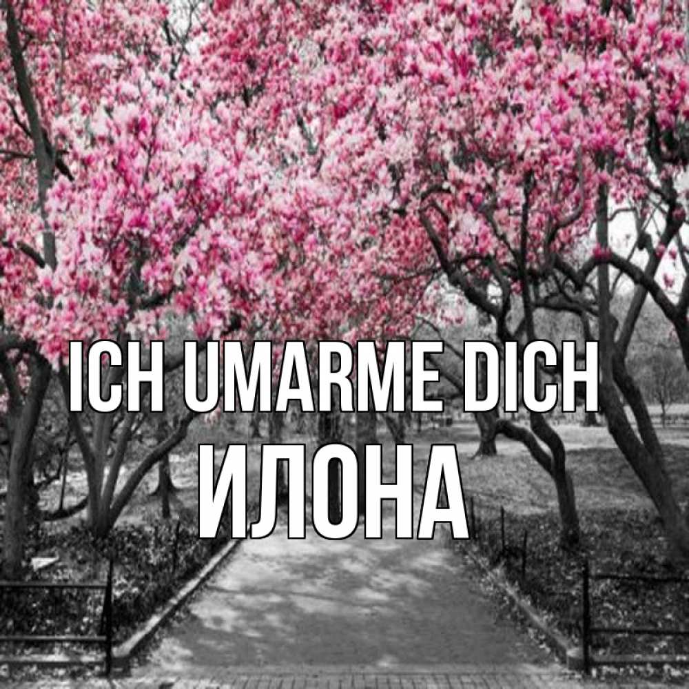 Открытка на каждый день с именем, Илона Ich umarme dich обработанное фото Прикольная открытка с пожеланием онлайн скачать бесплатно 