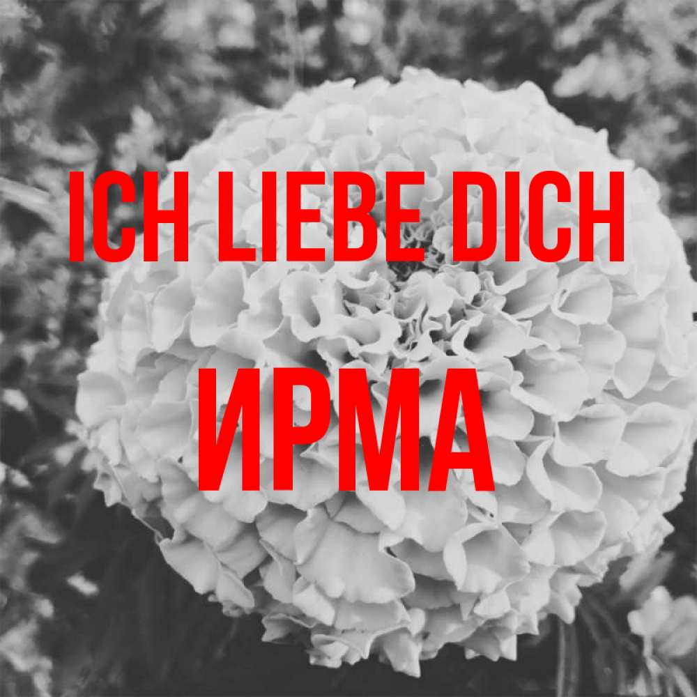 Открытка на каждый день с именем, Ирма Ich liebe dich подпись Прикольная открытка с пожеланием онлайн скачать бесплатно 
