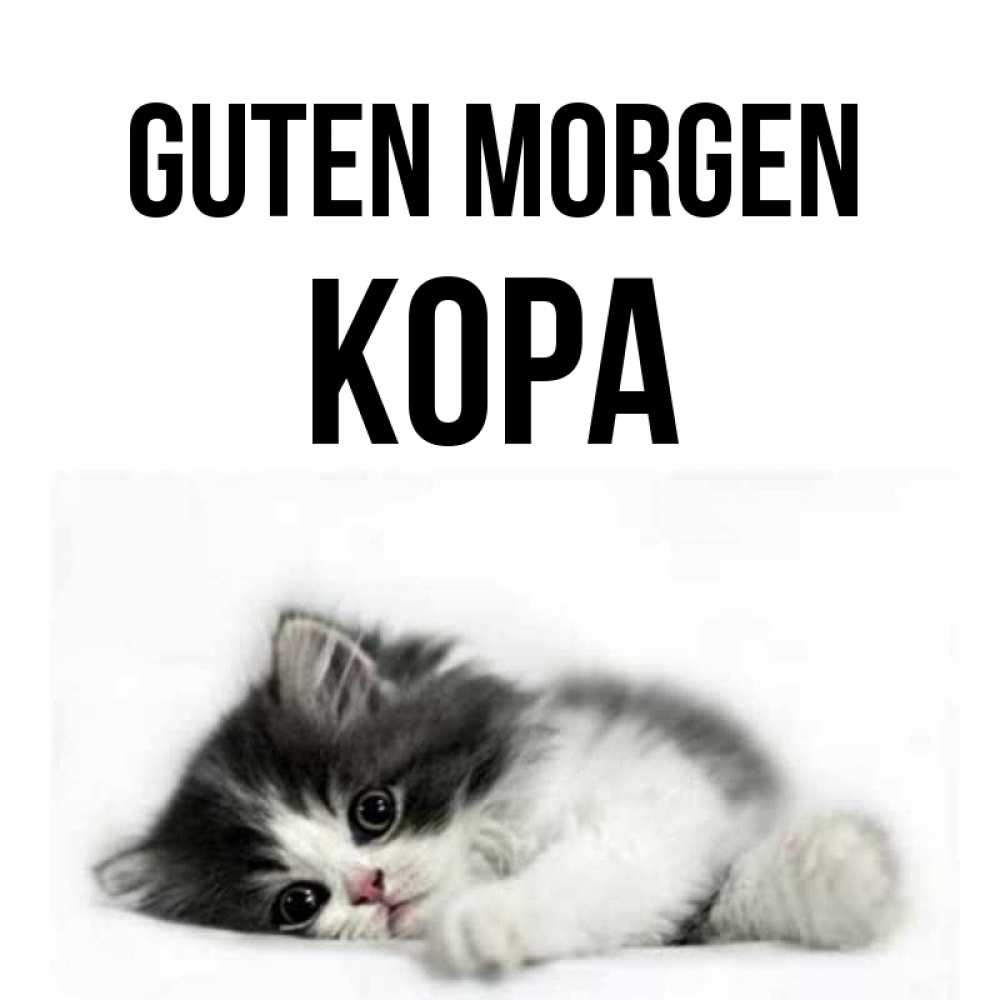 Открытка на каждый день с именем, Кора Guten Morgen кот лапки Прикольная открытка с пожеланием онлайн скачать бесплатно 