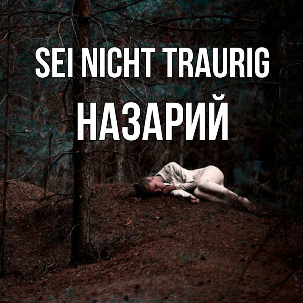 Открытка на каждый день с именем, Назарий Sei nicht traurig лес Прикольная открытка с пожеланием онлайн скачать бесплатно 