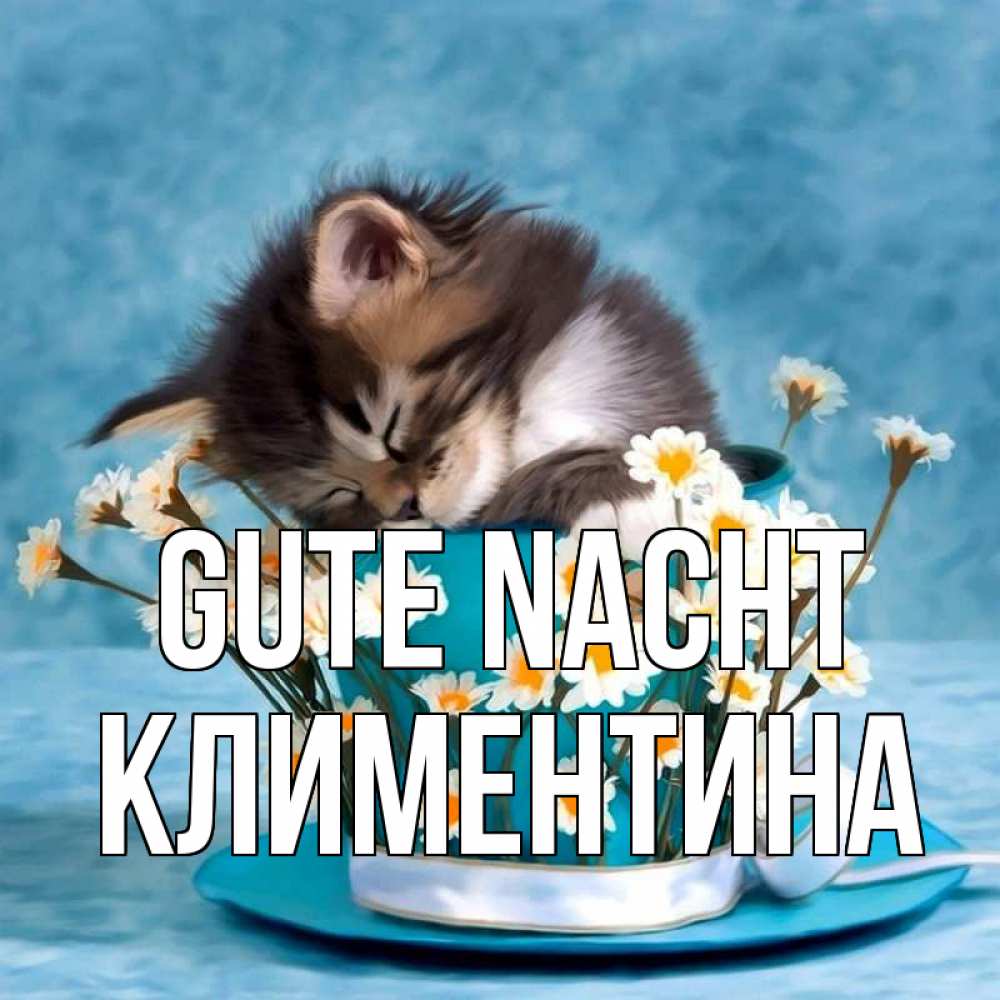 Открытка на каждый день с именем, Климентина Gute Nacht котенок спит в кружке с блюдцем Прикольная открытка с пожеланием онлайн скачать бесплатно 
