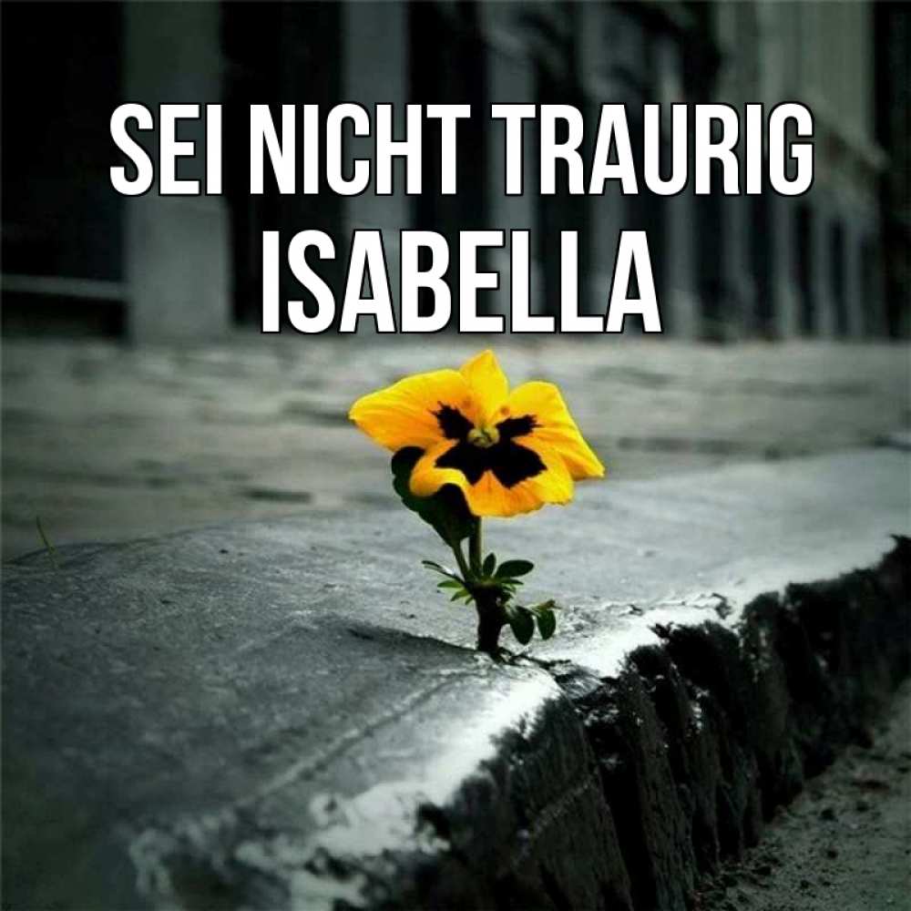 Открытка на каждый день с именем, Isabella Sei nicht traurig не сдавайся Прикольная открытка с пожеланием онлайн скачать бесплатно 