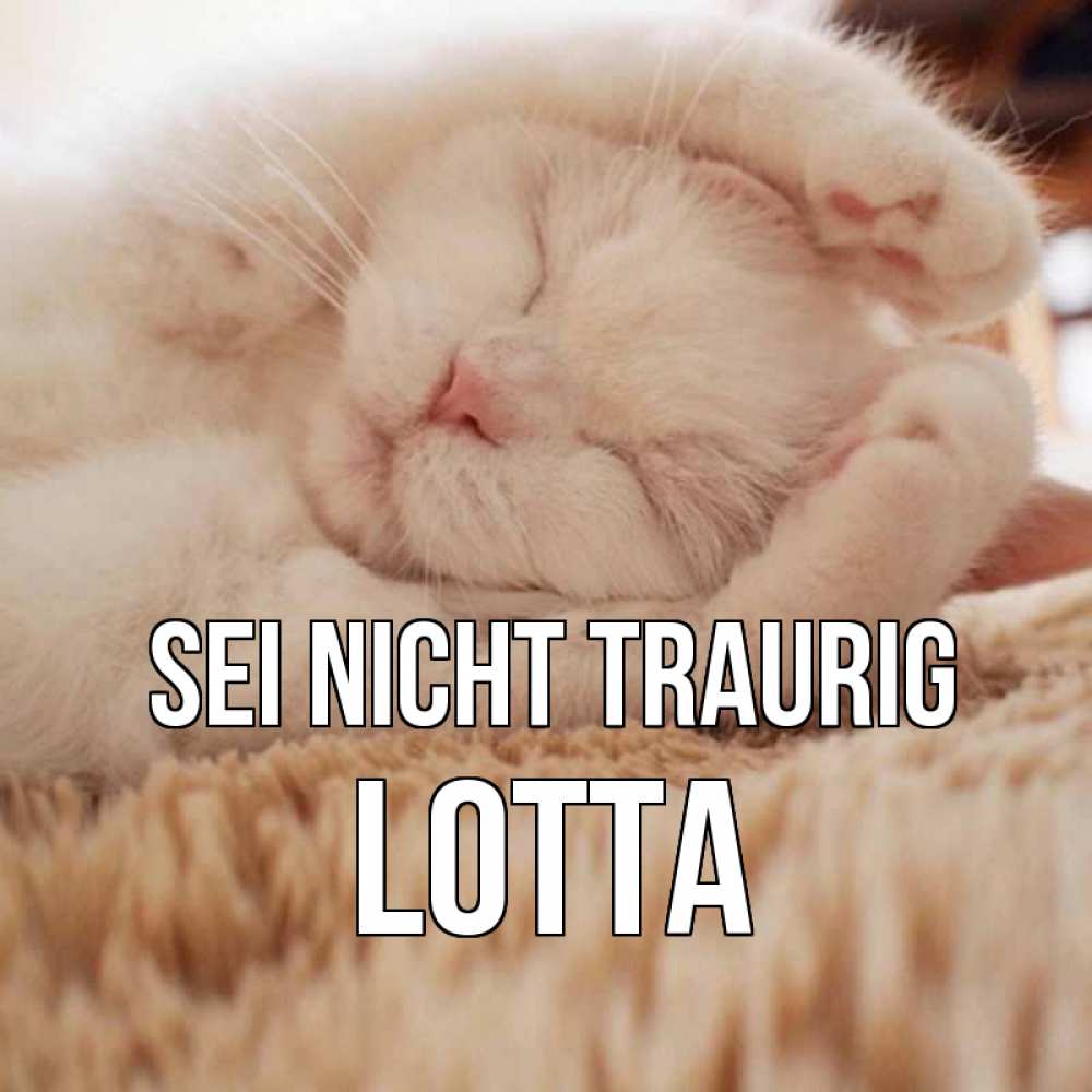 Открытка на каждый день с именем, Lotta Sei nicht traurig белый кот Прикольная открытка с пожеланием онлайн скачать бесплатно 