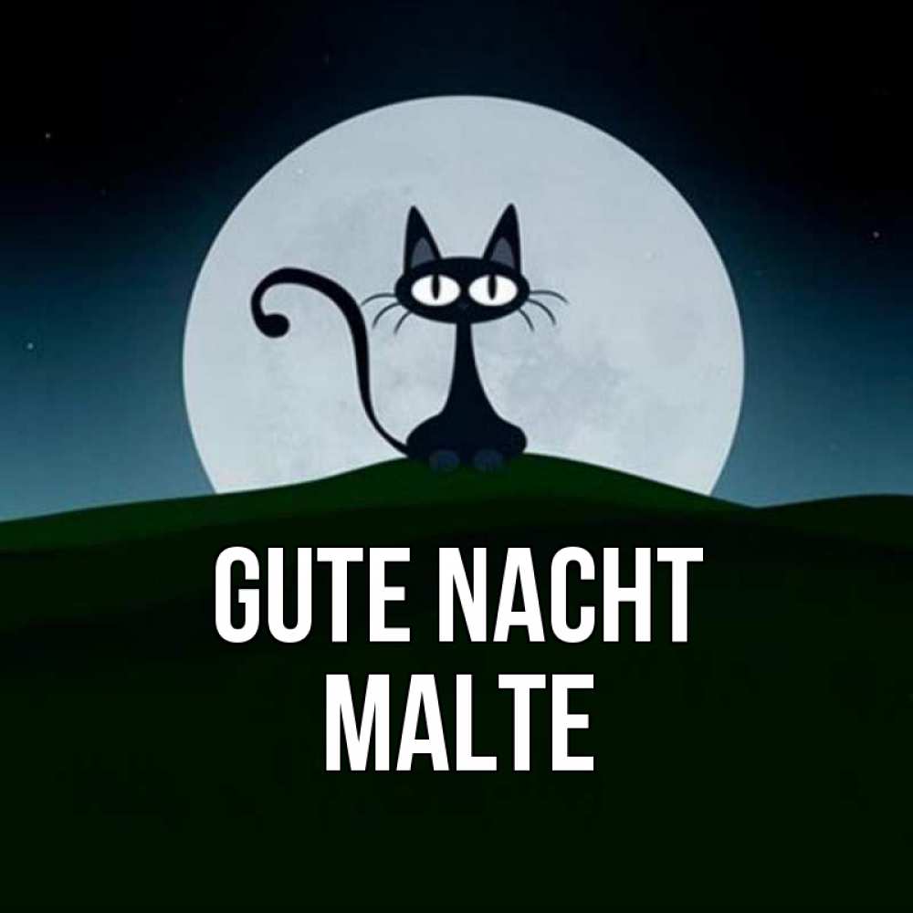 Открытка на каждый день с именем, Malte Gute Nacht хорошо выспаться ночью и без кошмаров Прикольная открытка с пожеланием онлайн скачать бесплатно 