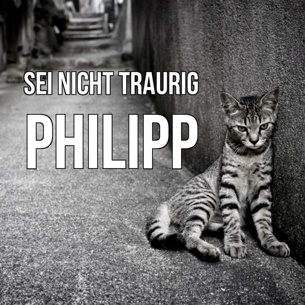 Открытка на каждый день с именем, Philipp Sei nicht traurig скучающий котик Прикольная открытка с пожеланием онлайн скачать бесплатно 