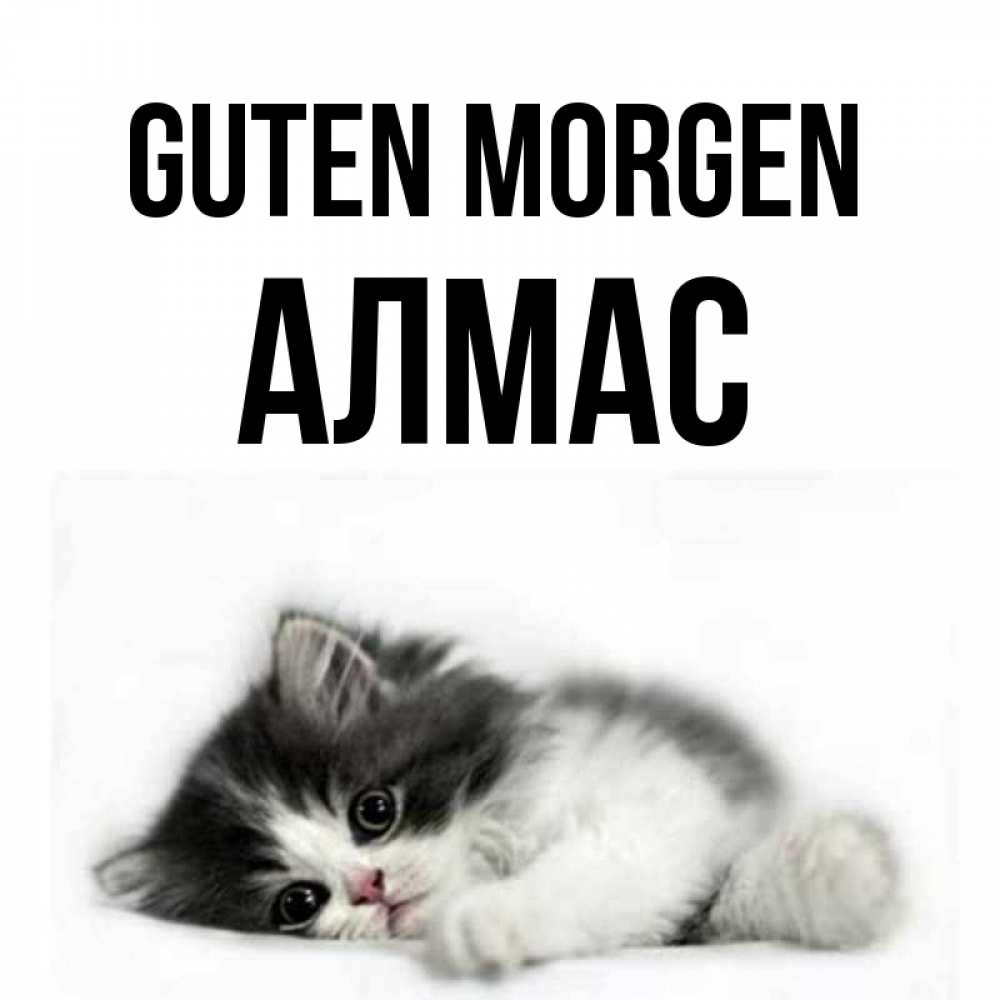 Открытка на каждый день с именем, Алмас Guten Morgen кот лапки Прикольная открытка с пожеланием онлайн скачать бесплатно 