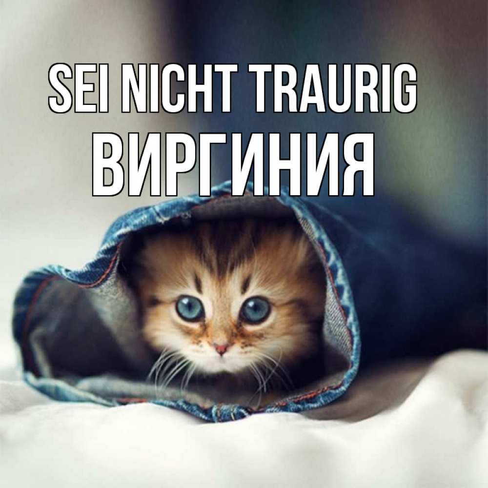 Открытка на каждый день с именем, Виргиния Sei nicht traurig рыжик котик Прикольная открытка с пожеланием онлайн скачать бесплатно 