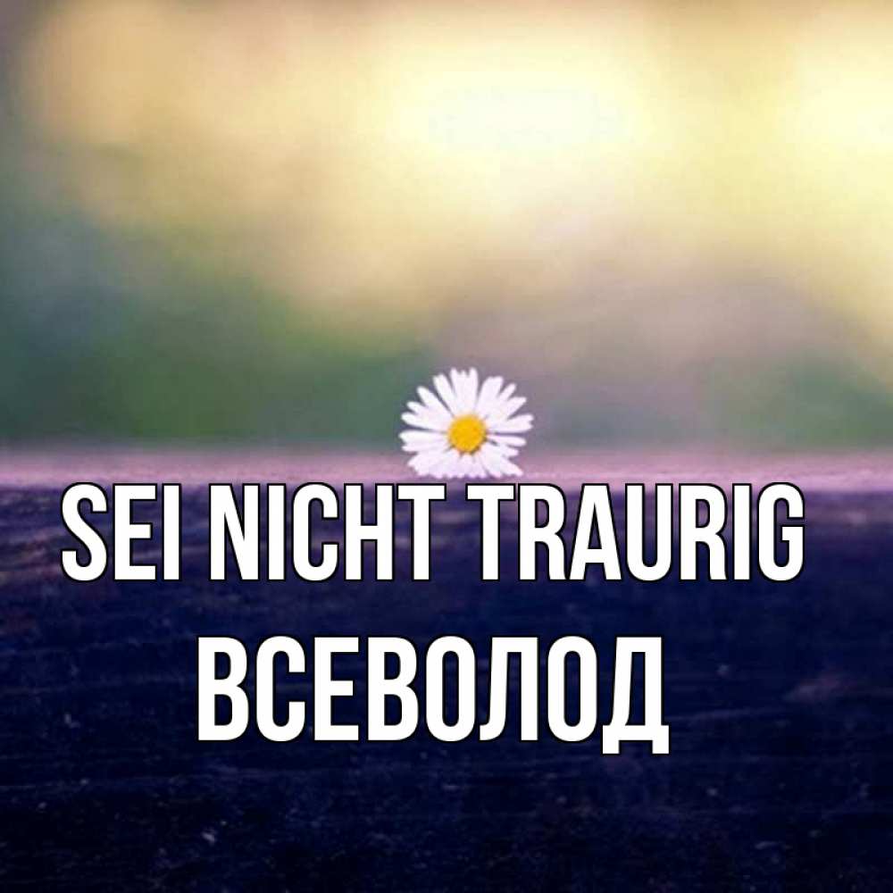 Открытка на каждый день с именем, Всеволод Sei nicht traurig красота Прикольная открытка с пожеланием онлайн скачать бесплатно 