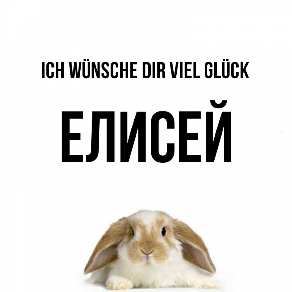 Открытка на каждый день с именем, Елисей Ich wünsche dir viel Glück открытки с произвольным текстом который можно вставить в открытку и создать ее самостоятельно бесплатно онлайн Прикольная открытка с пожеланием онлайн скачать бесплатно 