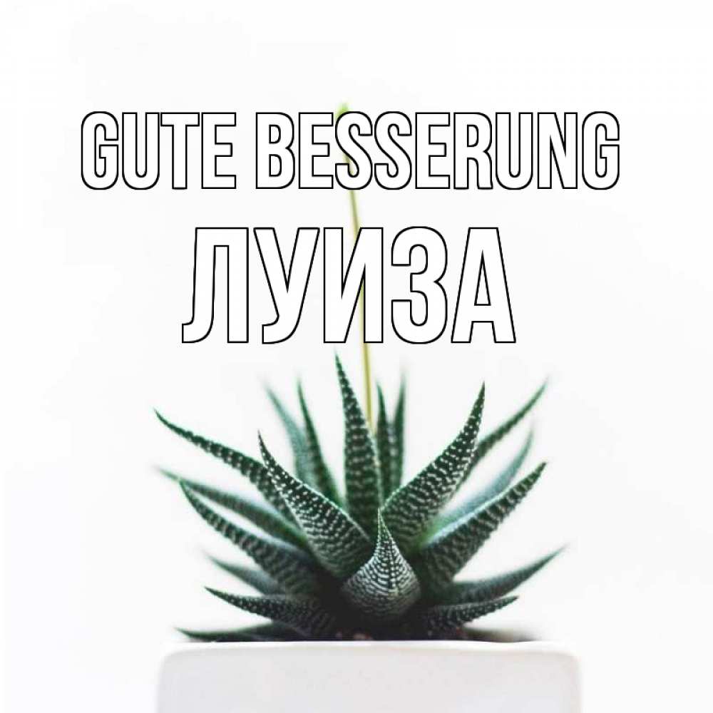 Открытка на каждый день с именем, Луиза Gute Besserung короче это непонятная колючка Прикольная открытка с пожеланием онлайн скачать бесплатно 