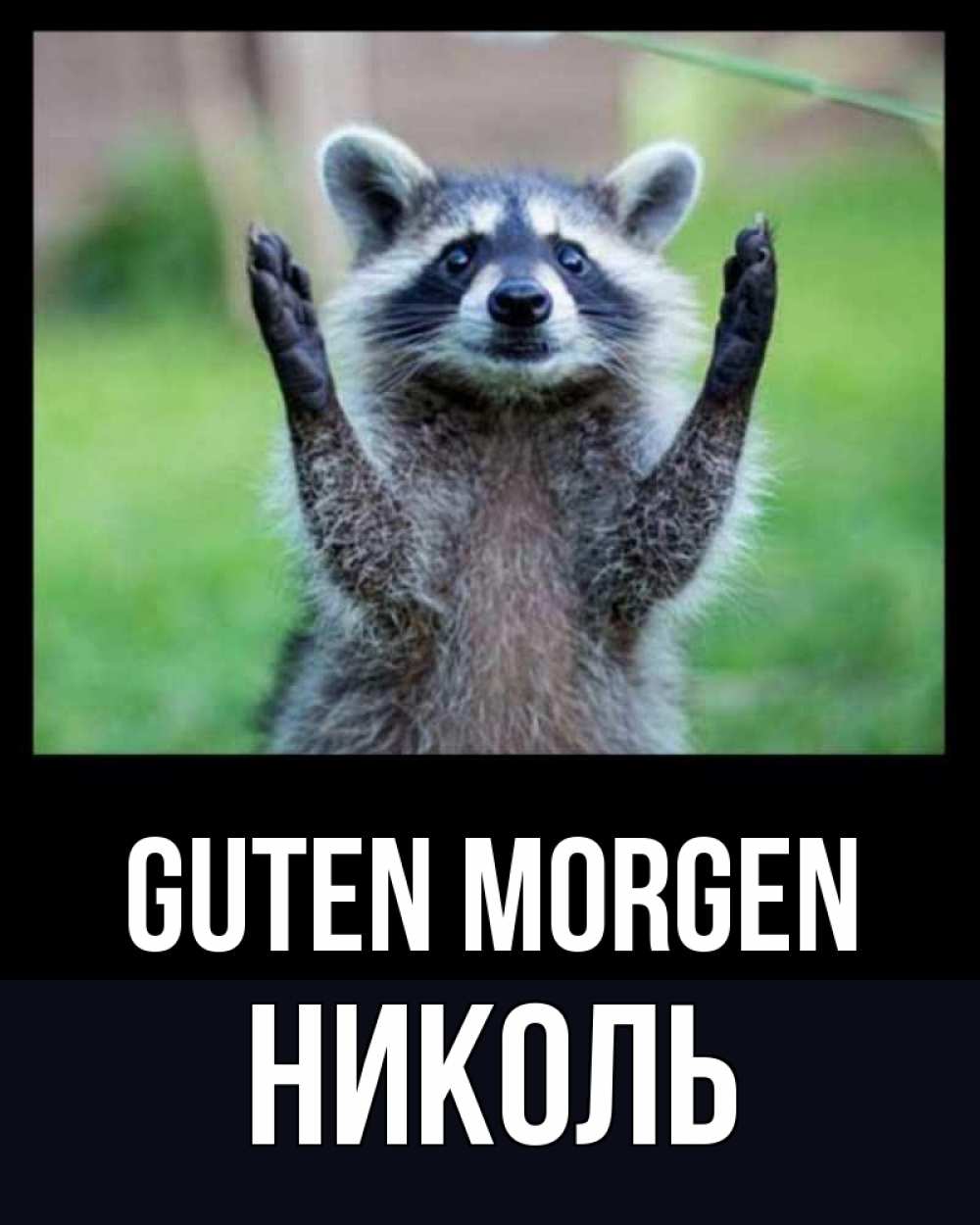 Открытка на каждый день с именем, Николь Guten Morgen хорошее настроение утречком Прикольная открытка с пожеланием онлайн скачать бесплатно 