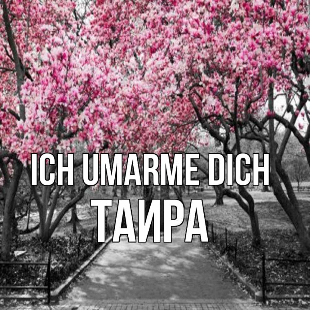 Открытка на каждый день с именем, Таира Ich umarme dich обработанное фото Прикольная открытка с пожеланием онлайн скачать бесплатно 