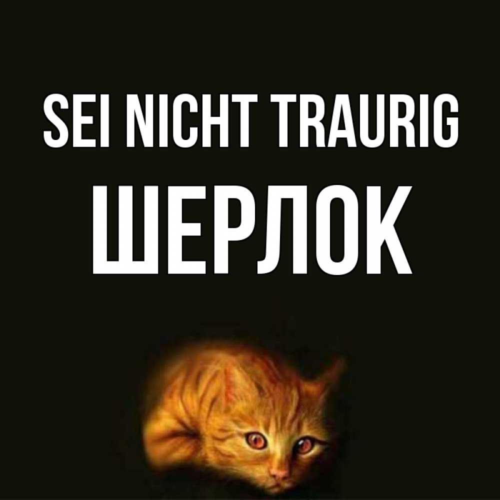 Открытка на каждый день с именем, Шерлок Sei nicht traurig лежащий кот в темноте Прикольная открытка с пожеланием онлайн скачать бесплатно 