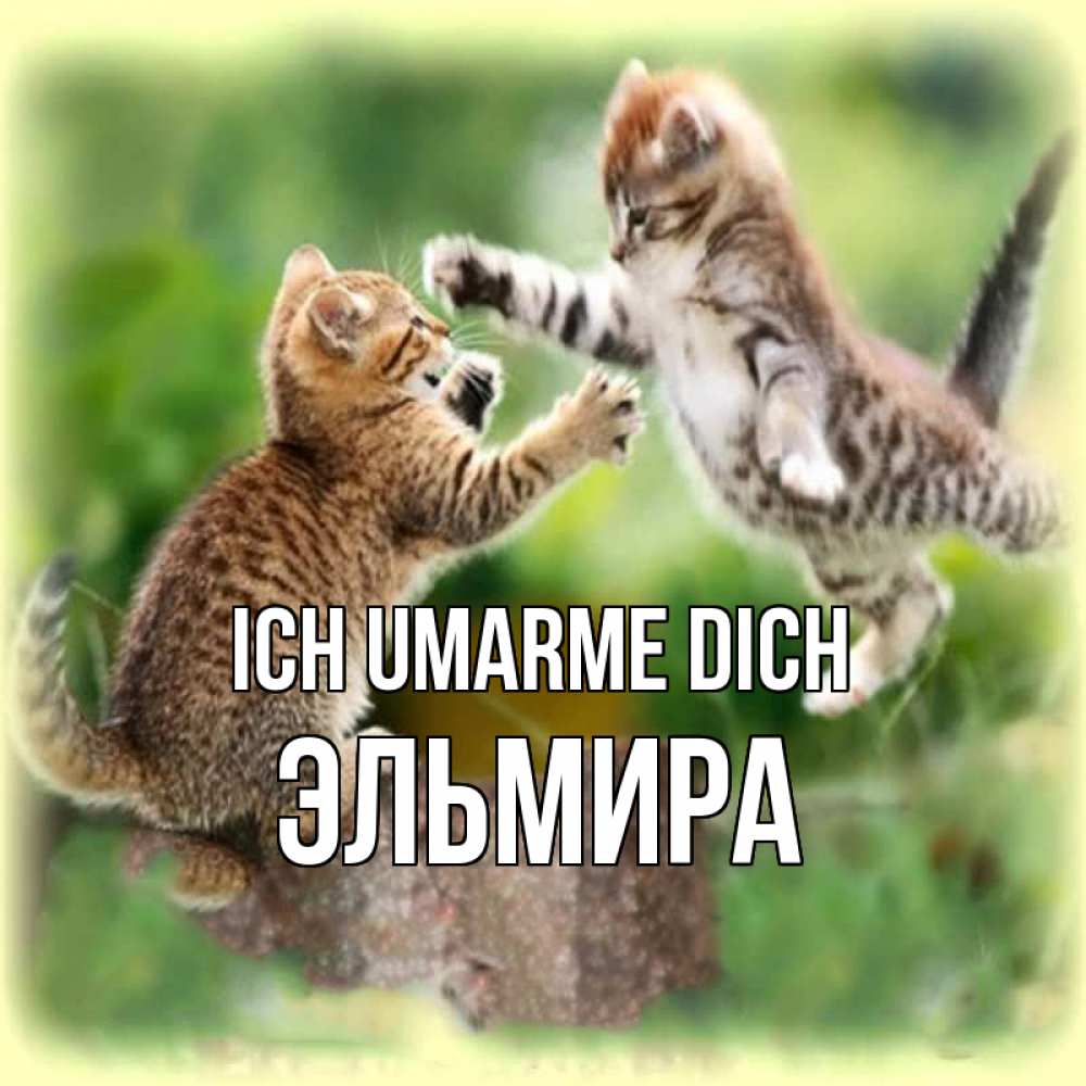 Открытка на каждый день с именем, Эльмира Ich umarme dich игры котят Прикольная открытка с пожеланием онлайн скачать бесплатно 