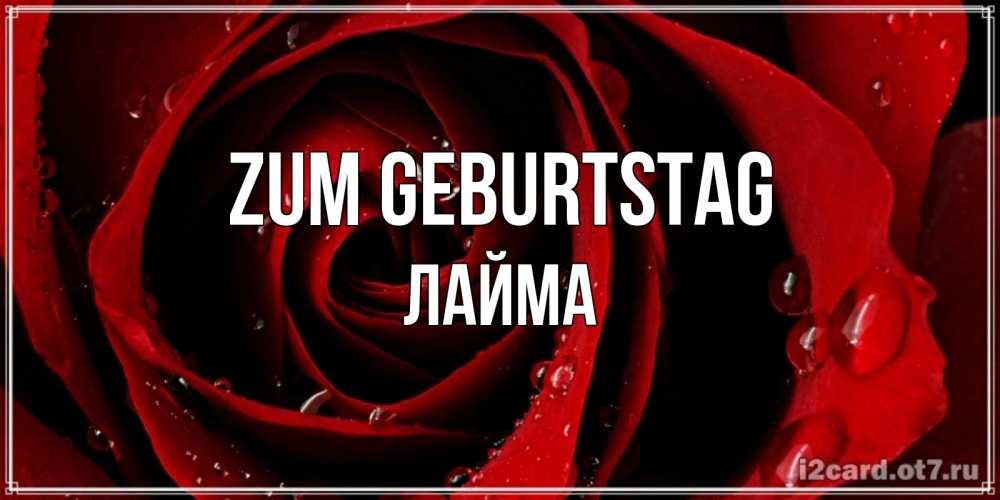 Открытка на каждый день с именем, Лайма Zum Geburtstag крупная бордовая роза Прикольная открытка с пожеланием онлайн скачать бесплатно 