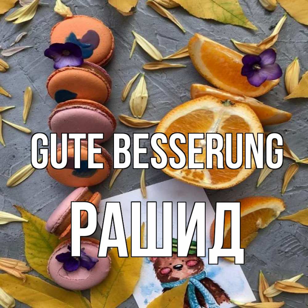 Открытка на каждый день с именем, Рашид Gute Besserung не болейте Прикольная открытка с пожеланием онлайн скачать бесплатно 