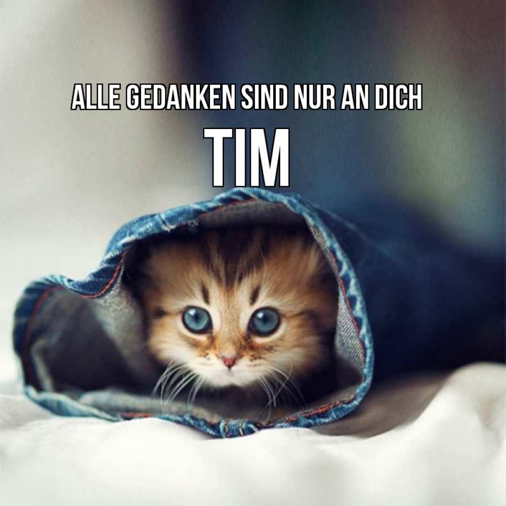 Открытка на каждый день с именем, Tim Alle Gedanken sind nur an dich мне без тебя плохо Прикольная открытка с пожеланием онлайн скачать бесплатно 