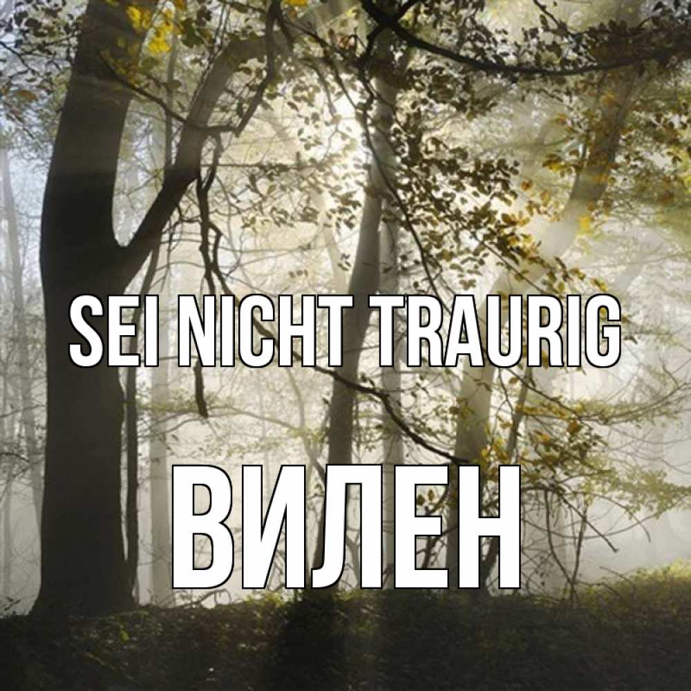 Открытка на каждый день с именем, Вилен Sei nicht traurig лес и свет Прикольная открытка с пожеланием онлайн скачать бесплатно 