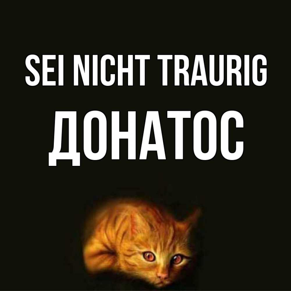 Открытка на каждый день с именем, Донатос Sei nicht traurig лежащий кот в темноте Прикольная открытка с пожеланием онлайн скачать бесплатно 