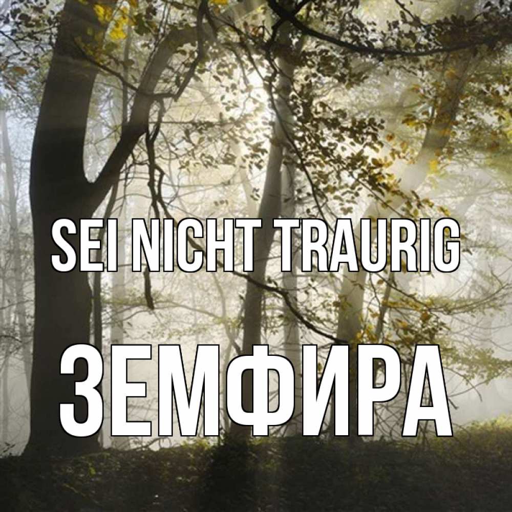 Открытка на каждый день с именем, Земфира Sei nicht traurig лес и свет Прикольная открытка с пожеланием онлайн скачать бесплатно 
