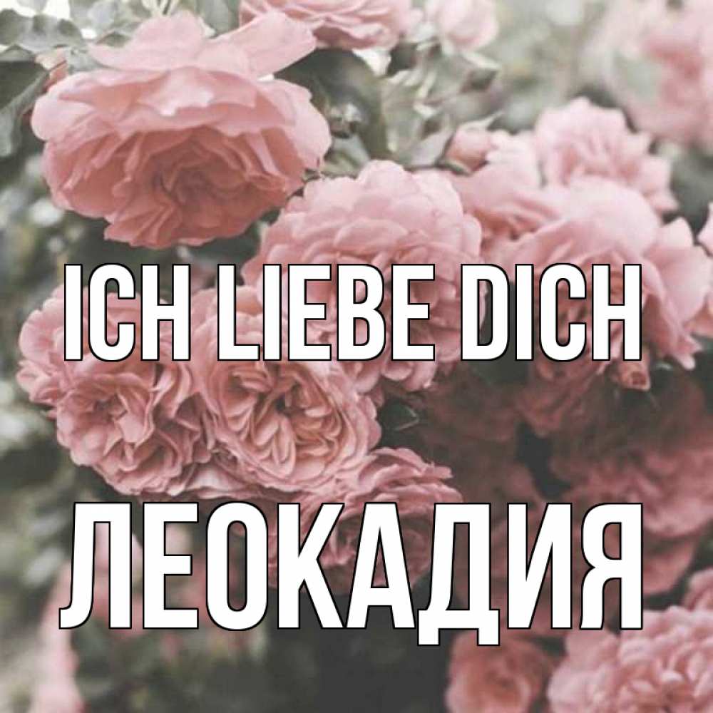 Открытка на каждый день с именем, Леокадия Ich liebe dich розы 3 Прикольная открытка с пожеланием онлайн скачать бесплатно 