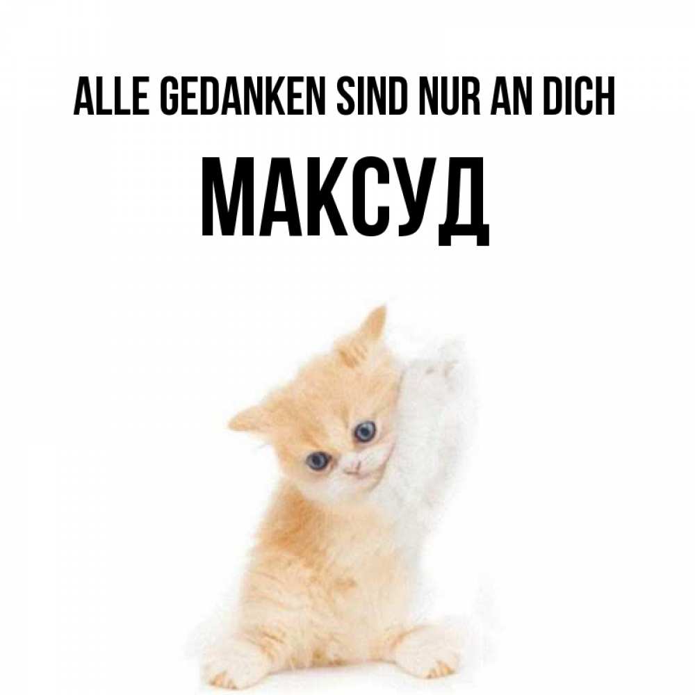 Открытка на каждый день с именем, Максуд Alle Gedanken sind nur an dich зверушки и милота Прикольная открытка с пожеланием онлайн скачать бесплатно 