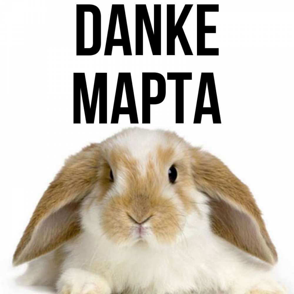 Открытка на каждый день с именем, Марта Danke коричнево белый заяц Прикольная открытка с пожеланием онлайн скачать бесплатно 
