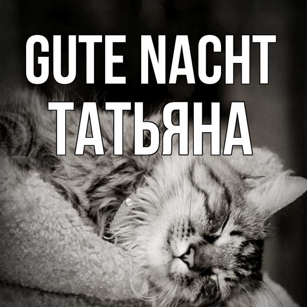 Открытка на каждый день с именем, Татьяна Gute Nacht котярик пушистый Прикольная открытка с пожеланием онлайн скачать бесплатно 