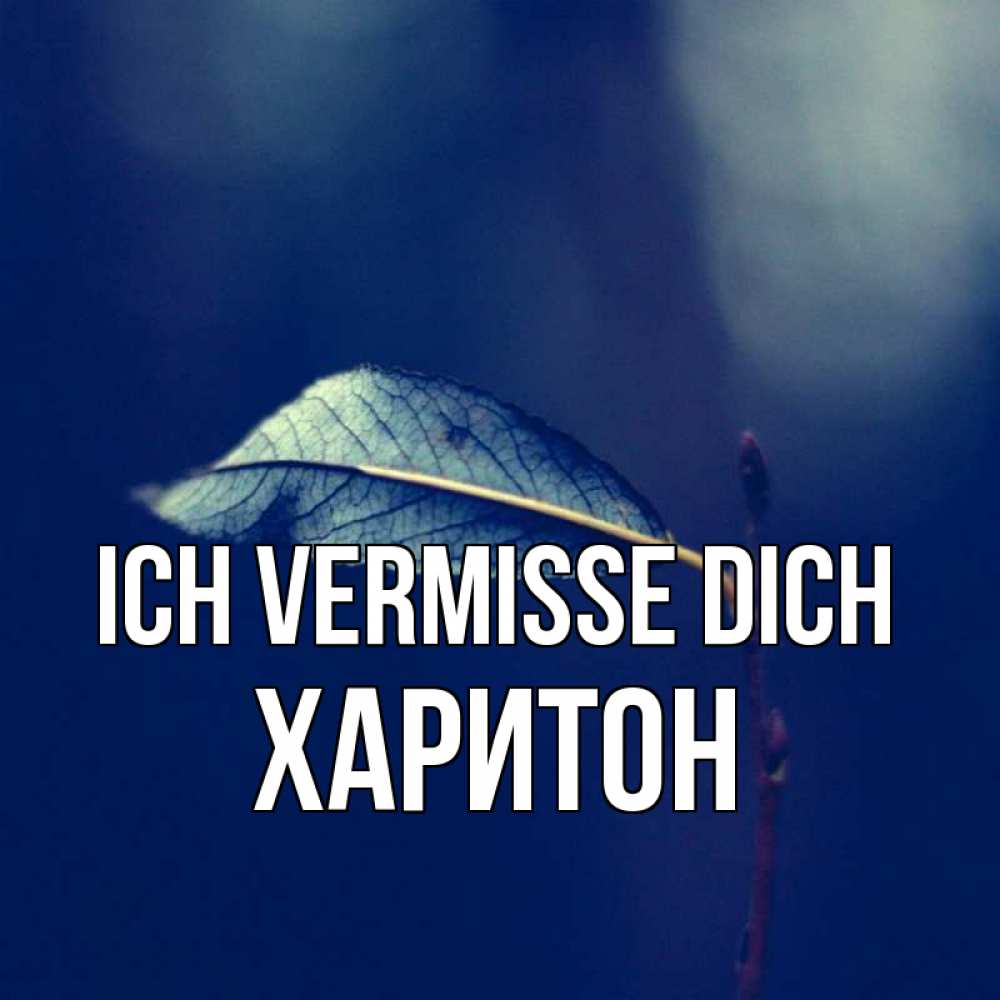 Открытка на каждый день с именем, Харитон Ich vermisse dich одна ветка 1 Прикольная открытка с пожеланием онлайн скачать бесплатно 
