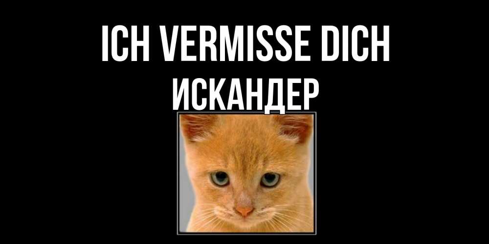 Открытка на каждый день с именем, Искандер Ich vermisse dich открытки рыжий котенок скучает по тебе Прикольная открытка с пожеланием онлайн скачать бесплатно 